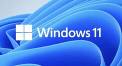 Windows11显卡驱动怎么重新安装？Windows11显卡驱动重新安装操作步骤